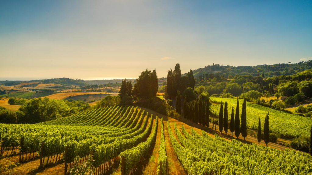 Casale Marittimo village, vineyards and countryside landscape in Maremma. Pisa Tuscany, Italy Europe.